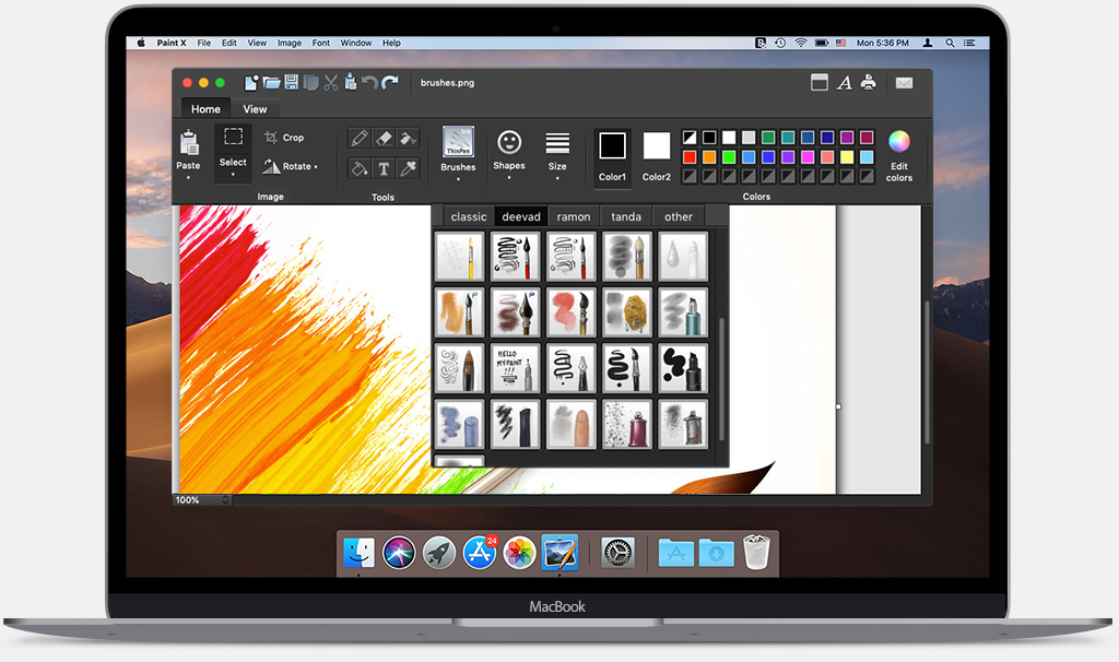 zoom with paint x lite for mac